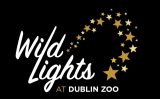 Corporate Security Services Ireland - PULSE - Wild Lights