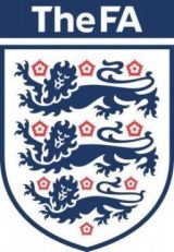 Event Security Services - PULSE - TheFA